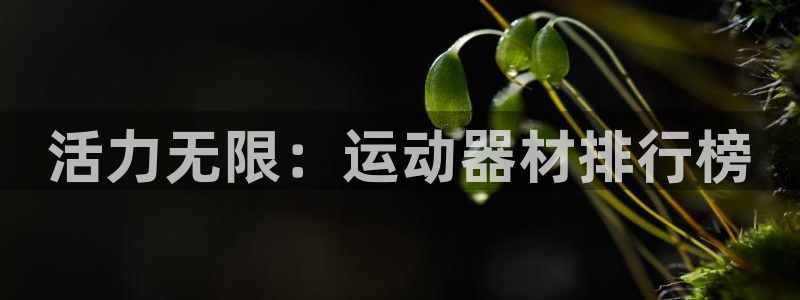 凯捷体育平台注册要钱吗是真的吗:活力无限:运动器材排行榜