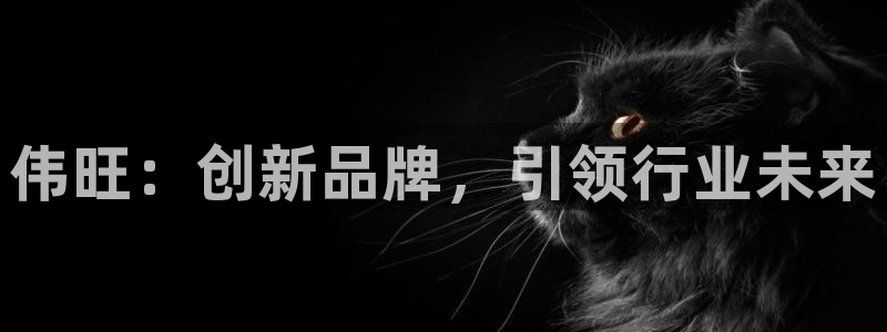 凯捷体育平台:伟旺:创新品牌,引领行业未来